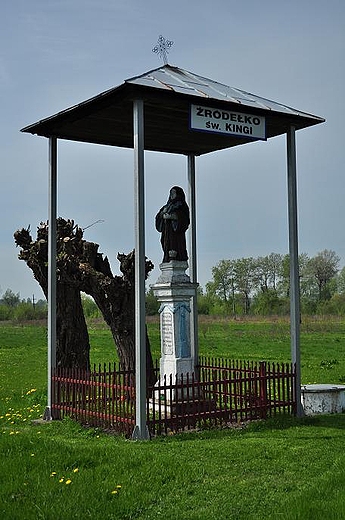 Ponidziaskie witki - rdeko w.Kingi w Nowyn Korczynie